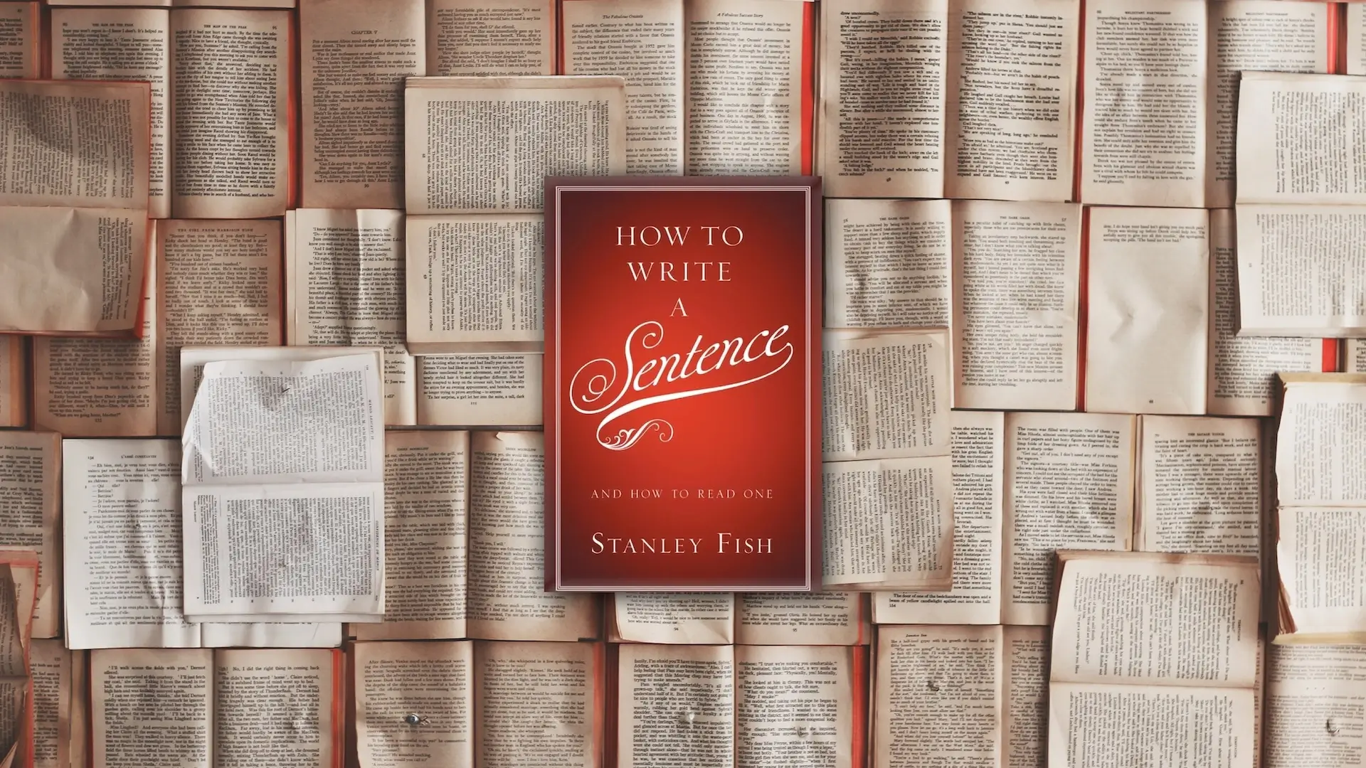 The cover of How to Write a Sentence