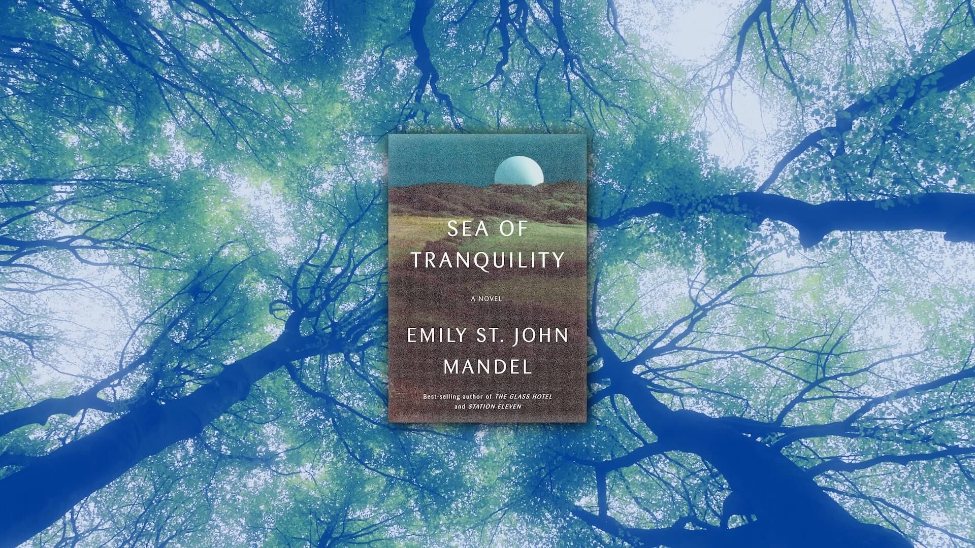 The cover of Sea of Tranquility in front of a forest shot looking up toward the sky.